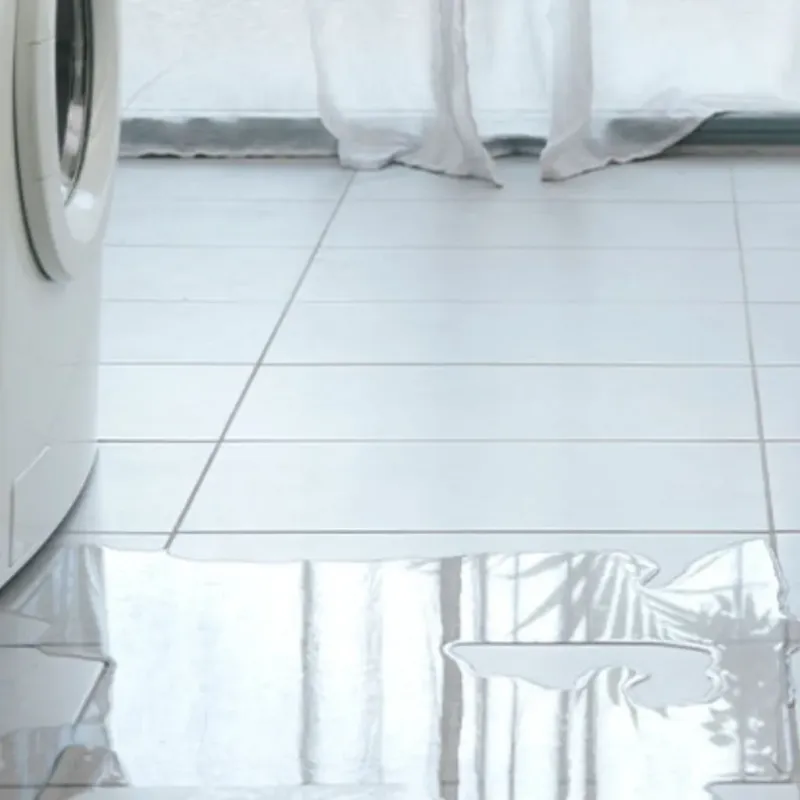 Appliance Leak Cleanup in Lagrange, OH