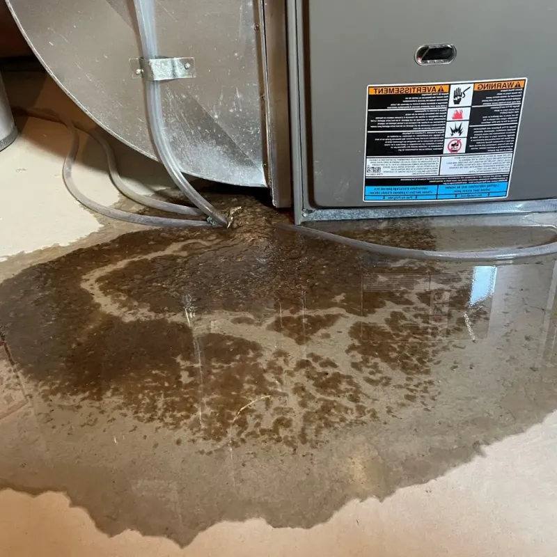 Pipe Burst and Leak Restoration in Lagrange, OH