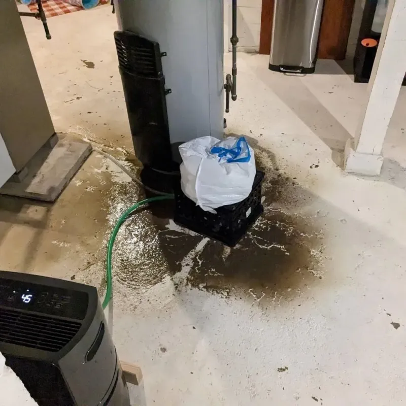Sewage Backup Cleanup Service in Lagrange, OH